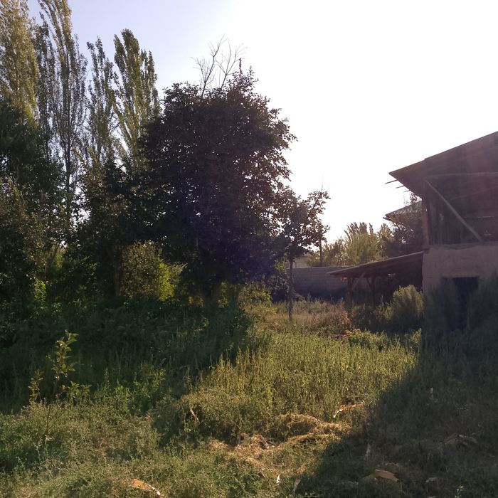 Юкори Чирчик туманида ер участками сотилади