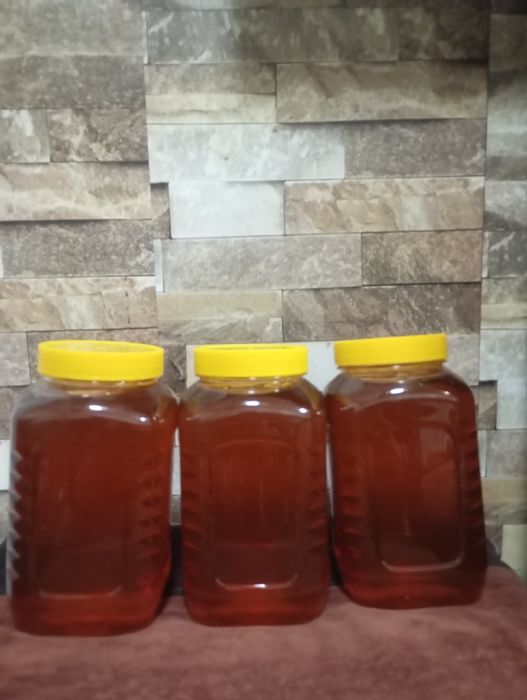 Шохимардон тоғ асали 1 кг 150 минг