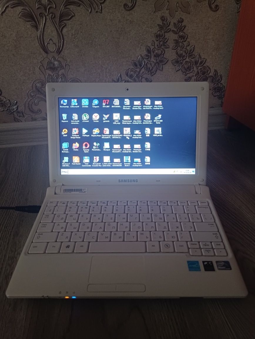 Netbook Samsung NP-N100S