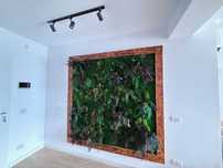 Tablou decorativ cu muschi, licheni si plante conservate