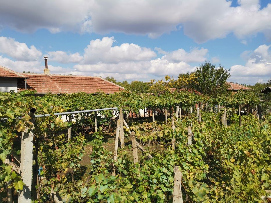 Продавам къща в село Пелишат, Плевенско