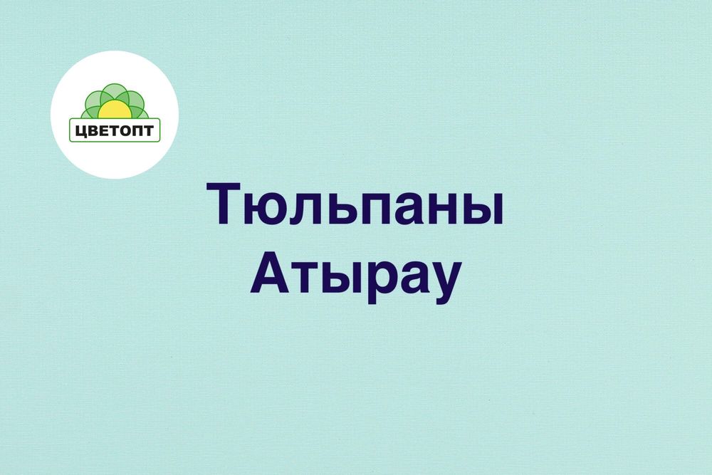 Тюльпаны оптом Атырау