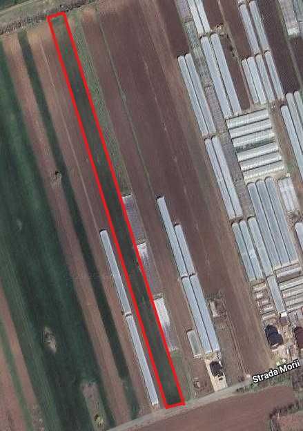 Vand teren in Scarisoara, Olt.