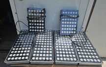 Componente Led Atlantik ICon Compact