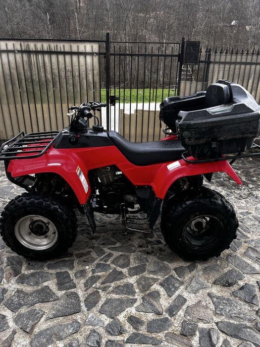 Kawasaki Bayou 250