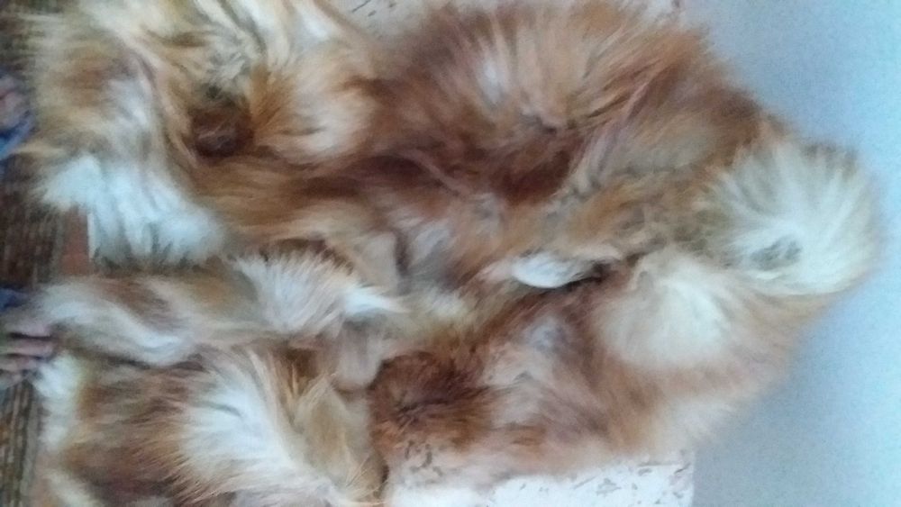 Меховые воротники