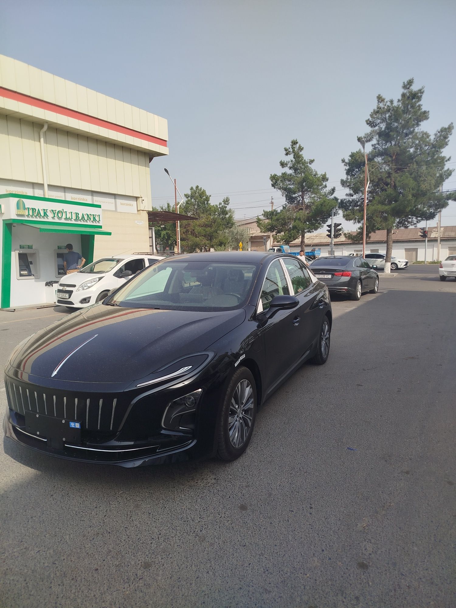 Hongqi Eqm5 500tali