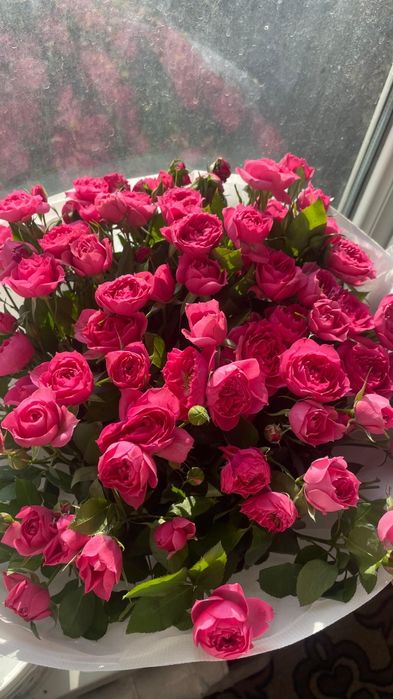 Цветы спрей розы