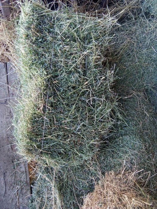 Тюк сатам с.Алдабергенов