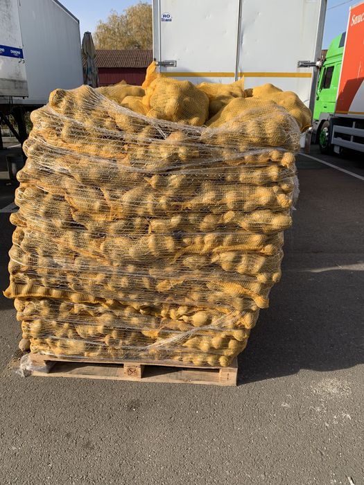 Vand cartofi consum alb rosu