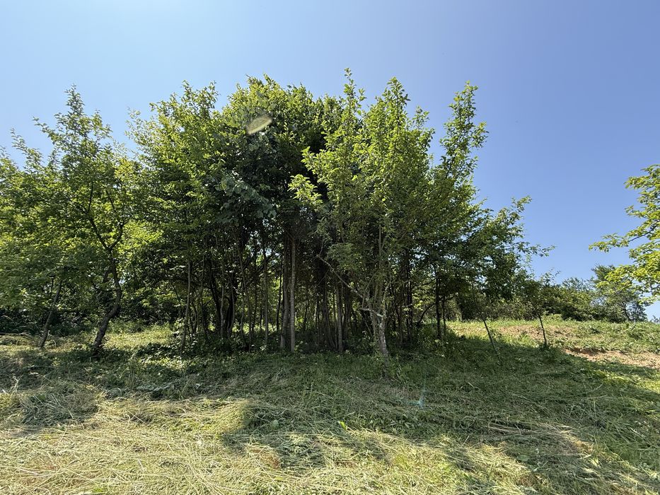 Vand teren inravilan