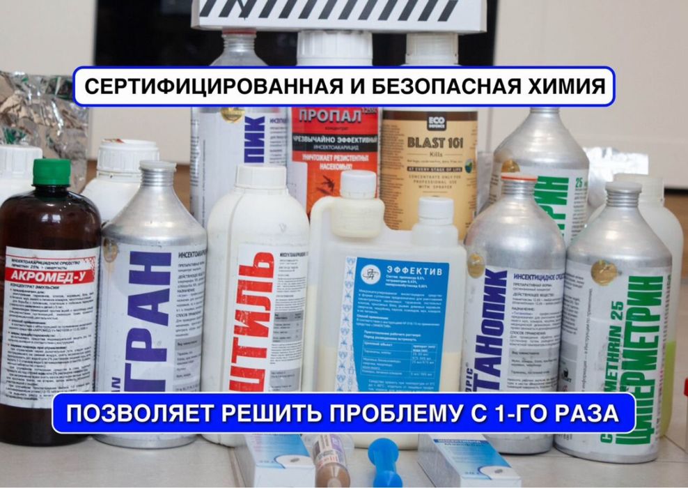 Оброботка от Крыс И Мышей Уничтожение Истребление Грызунов Дезинфекция