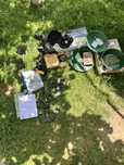 Minelab Equinox 800