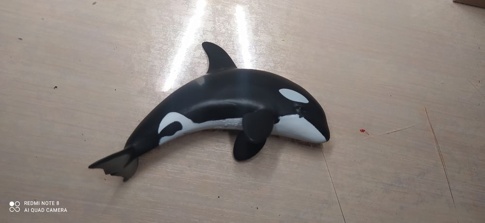 Косатка резиновая