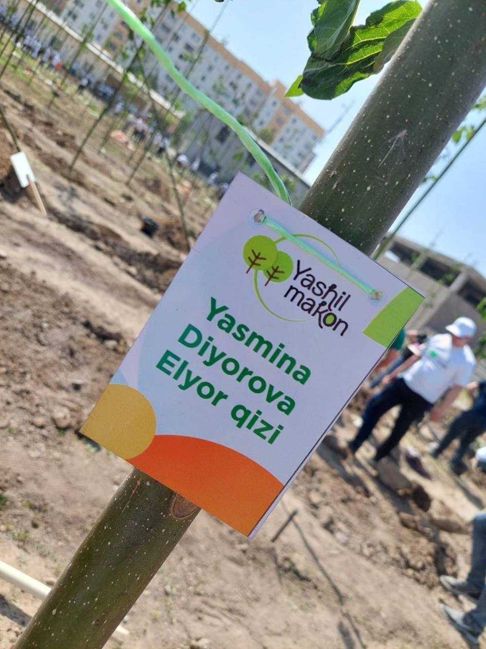 baner pechat ustanovka arakal pechat akril xarf tabkichka