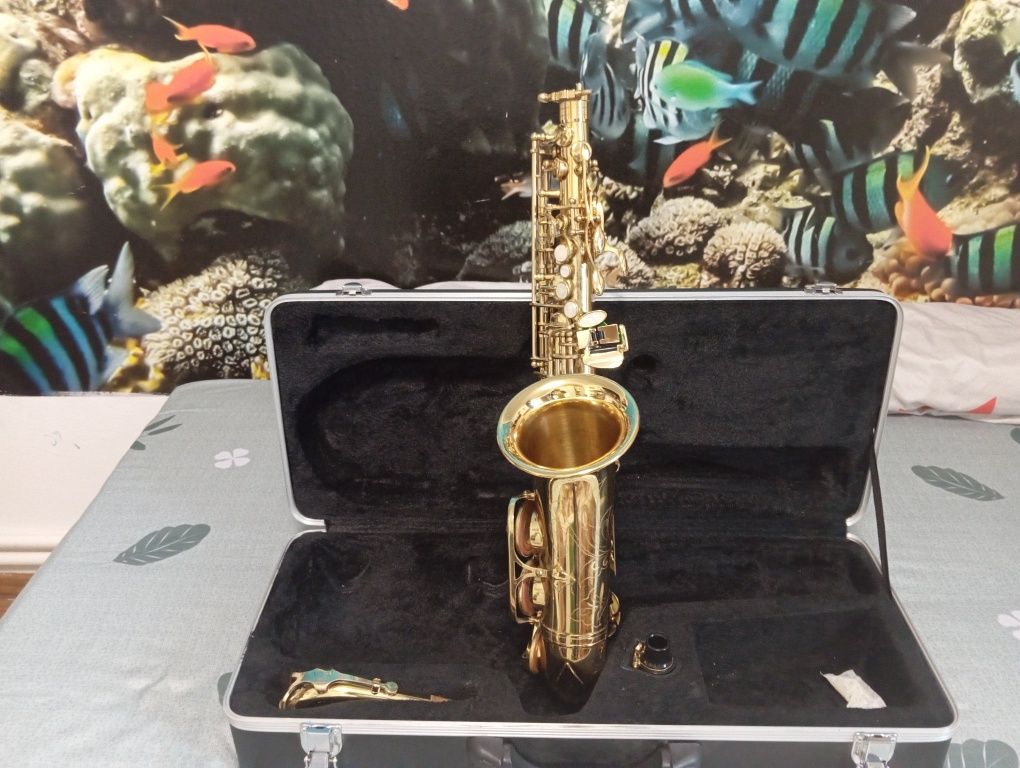 Saxofon PAROT utilizat