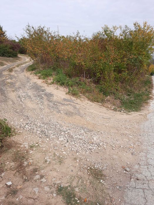 Земеделски имот в град  Плевен