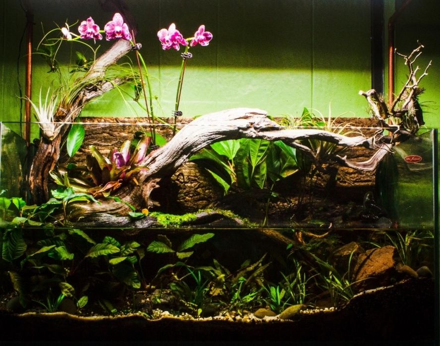 Acvarii/terarii la comandă pe măsură!