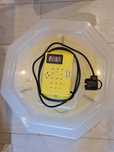 Vand Incubatoare cleo5