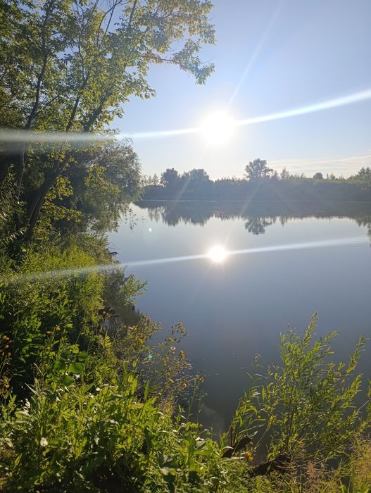 Сдам Дачу на берегу реки Ишим