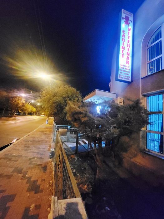 Cabinet veterinar Bucuresti sect 3 Bulevardul 1 Decembrie 1918 nr 3 g