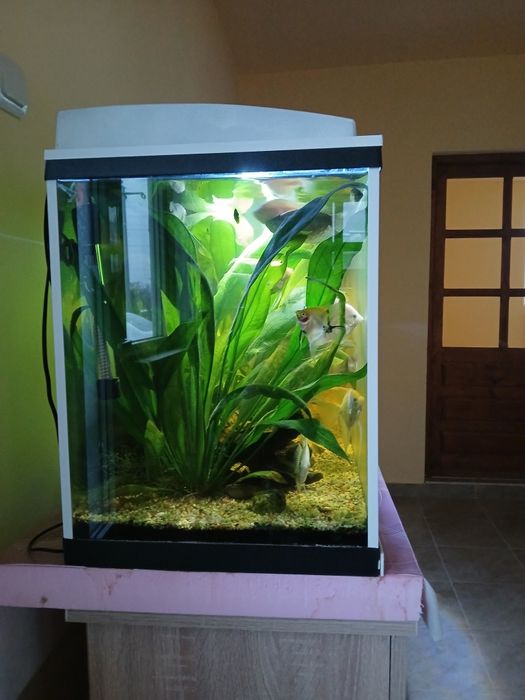 Acvariu  120l complet