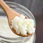 Ciuperca tibetana pentru kefir