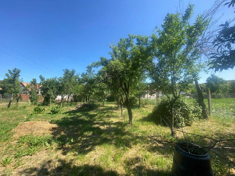 Casă 4 camere, curte individuala, 1350 mp teren, in Șura Mare, Sibiu