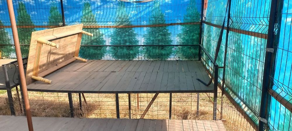 Топчан холати зур Калин тахтадан килинган