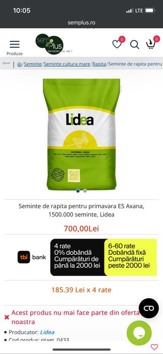 Sămânță de rapiță