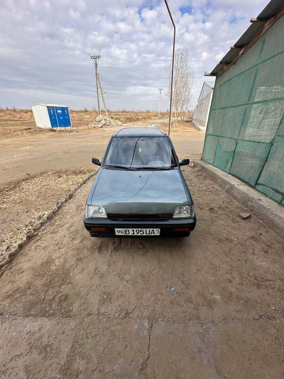 Тико сотилади Холати яхши