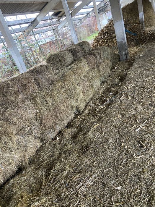 Baloti de fan si de paie