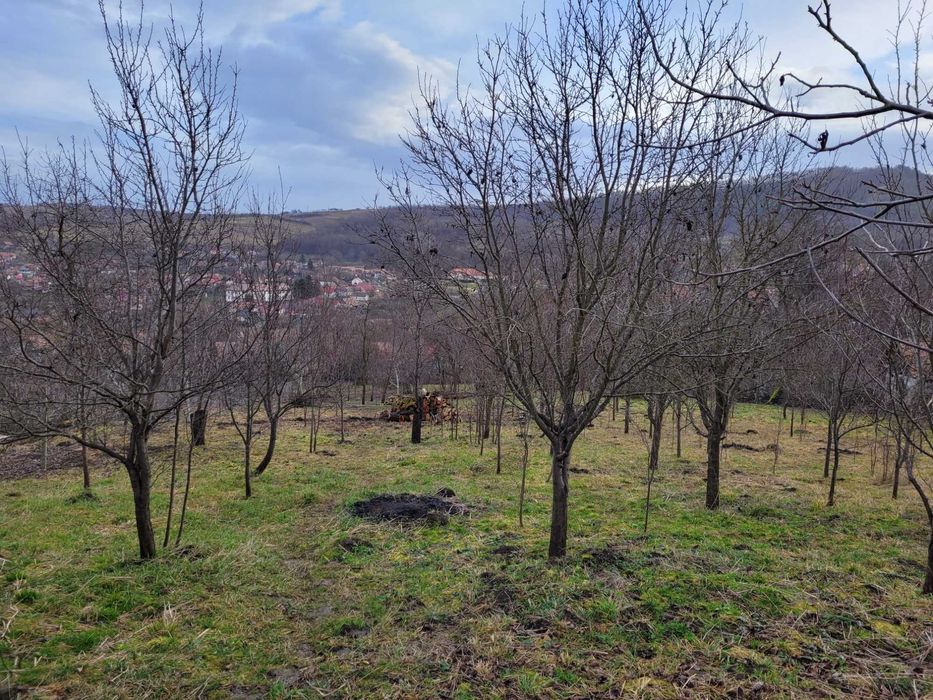 Vand teren intravilan