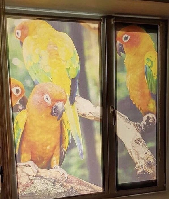 Жалюзи , ролл-шторы