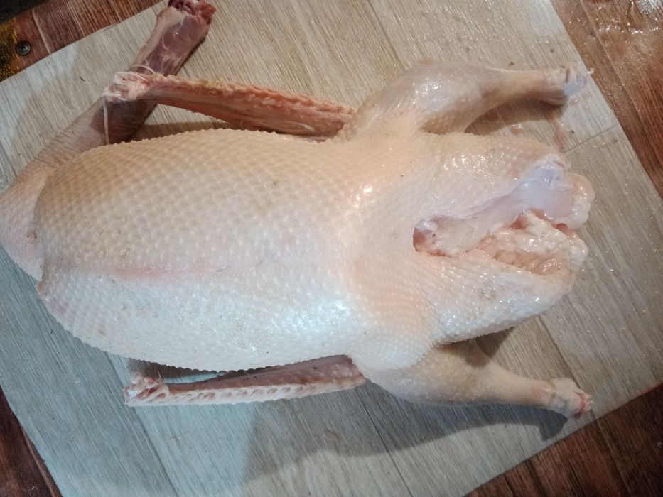 Гуси от 10 000тг