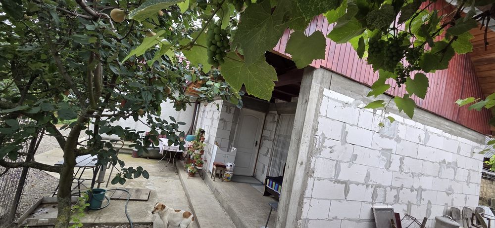 Vând casă in roznov chintinci  117 m cu teren 1000