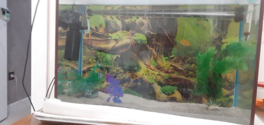 Продам аквариюм целый