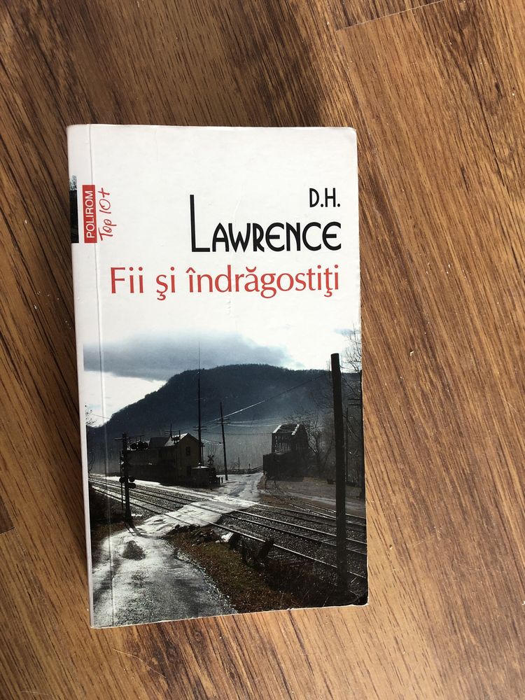 Carte D.H. Lawrence Fii si indragostiti