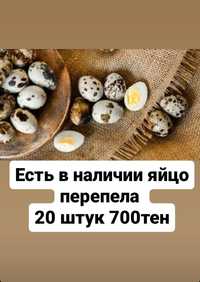 Реализую  по 600 яйцо перепелинное