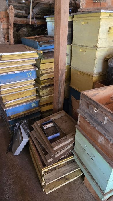 Пчелни кошери Дадан Блат