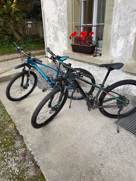 Biciclete de vanzare