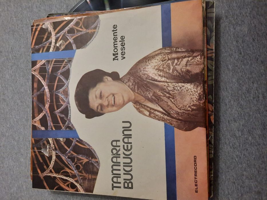 Discuri vinil de colecție