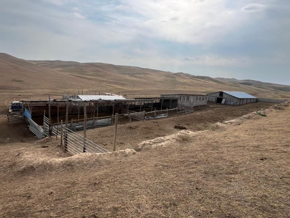 Продается Фазенда