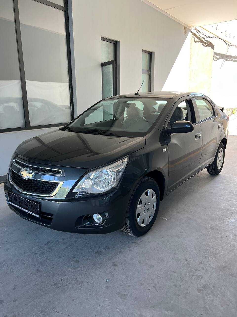Cobalt Optima 25 Nataryus Tekin