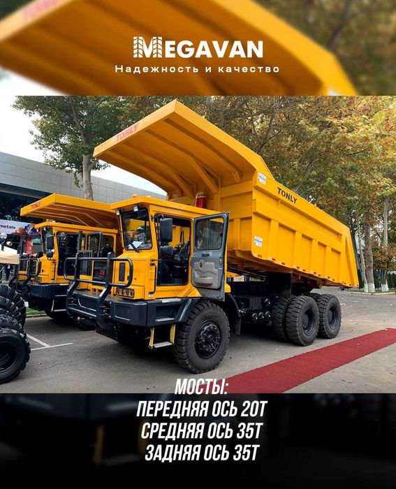 Самосвал Shaanxi Tonly markali TONLY TL875B karyer samosvali