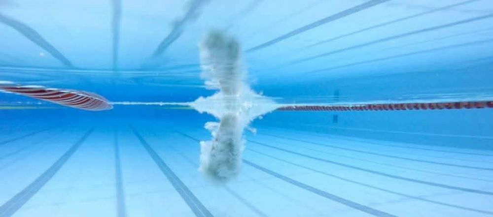 Cursuri înot și acomodare copii în bazin