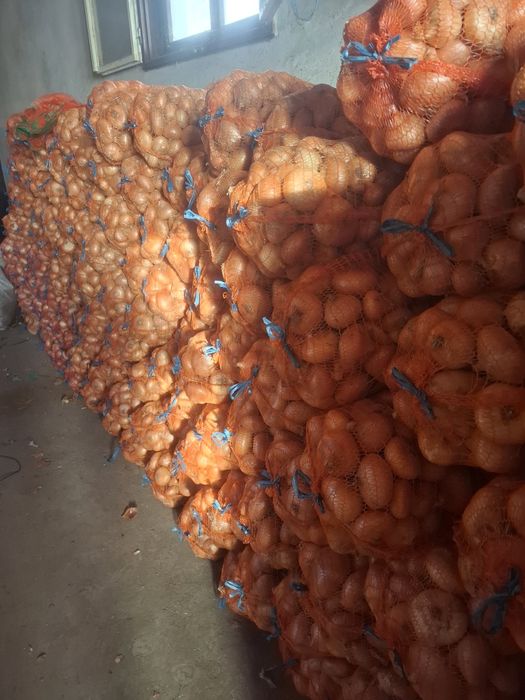 Vand ceapa rosie lunguiata si ceapa galbena