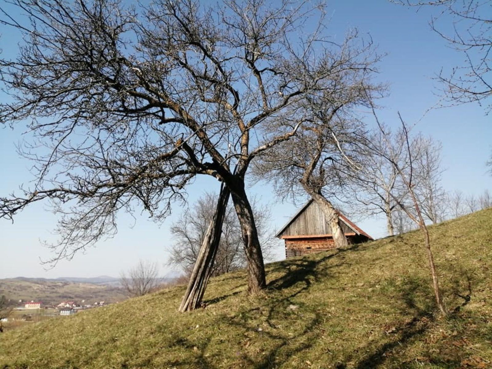 Teren de vânzare, 6800 mp, intravilan, Bran, priveliște superbă