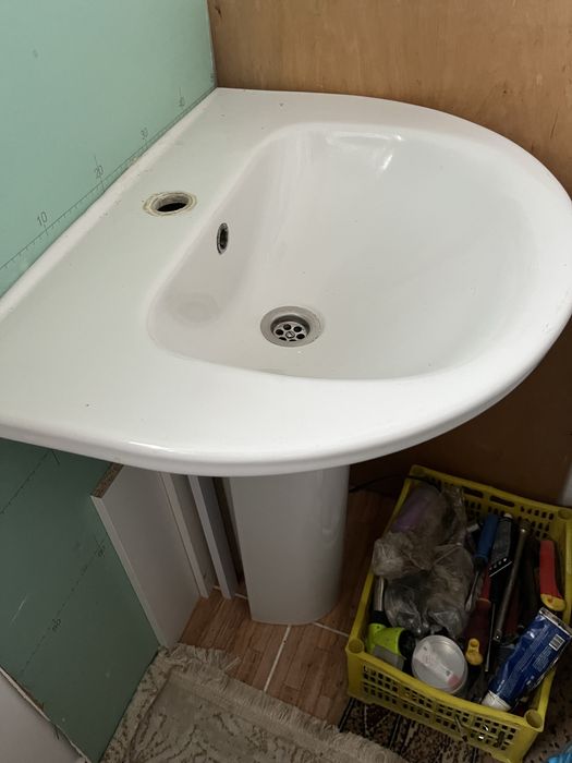 Раковина тульпан на ношке, в горошем состоянии