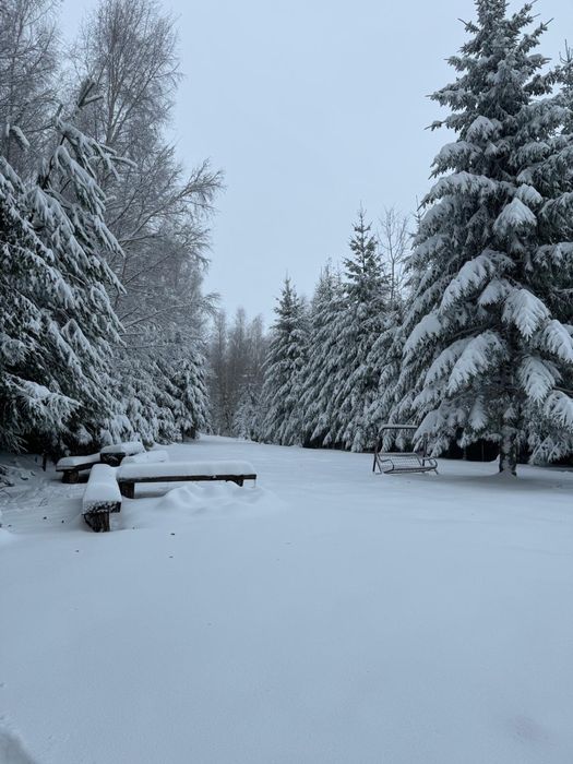 Cabana de inchiriat Garana